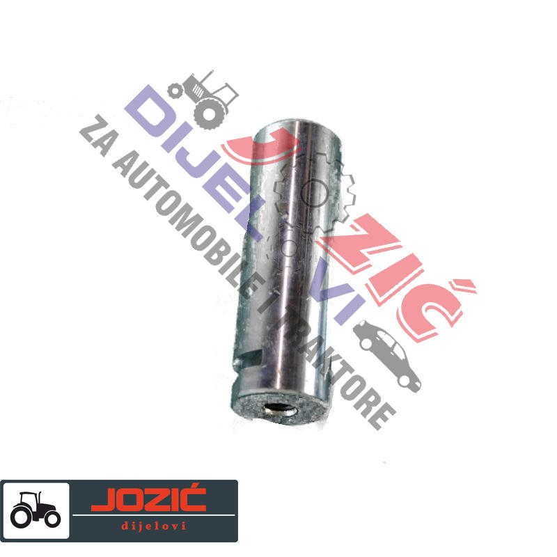 Daisy on the Ohoopee